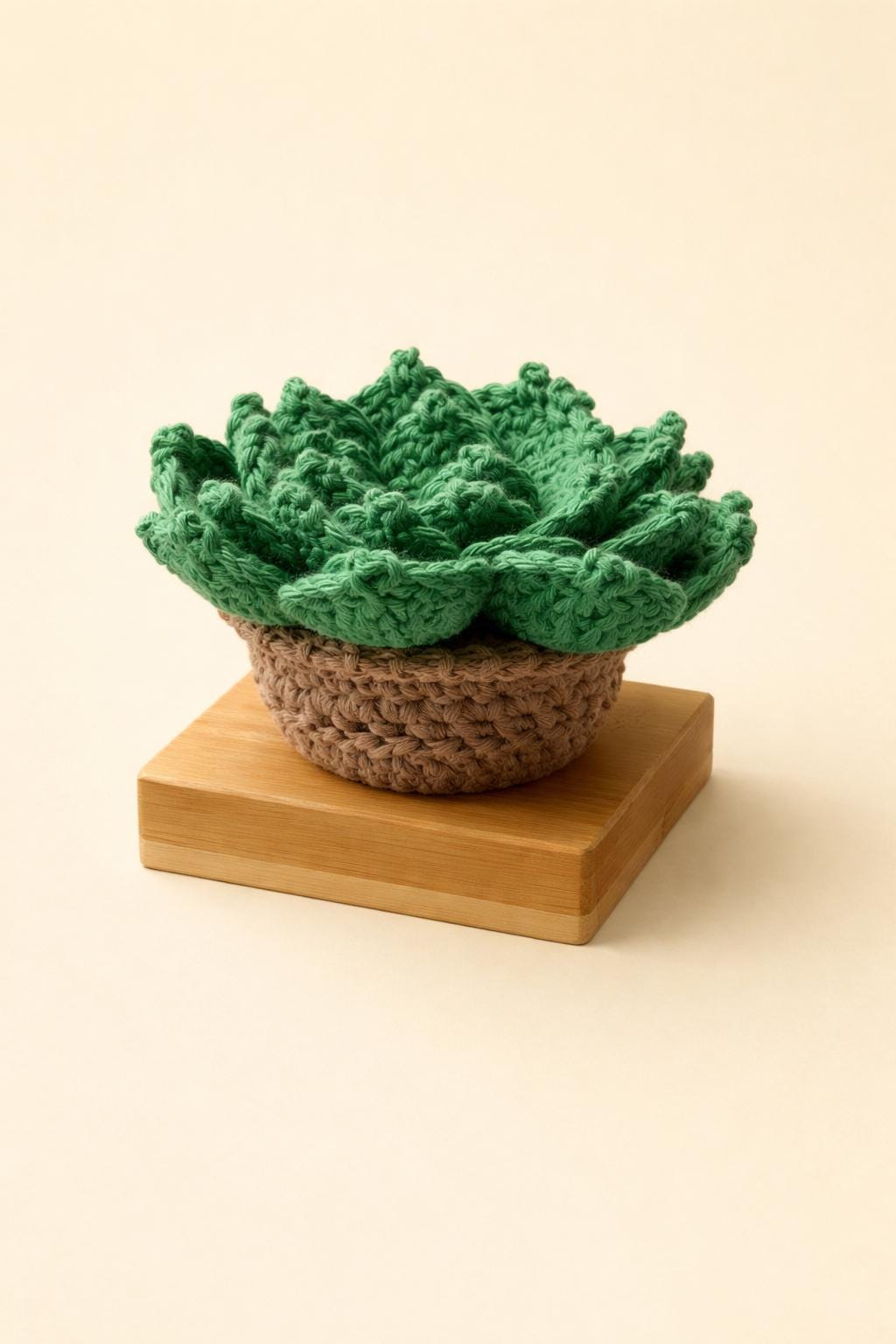 Gehäkelter-Sukkulenten-Untersetzer Set / Sukkulent / Wohnkultur / Geschenk / Pflanzen